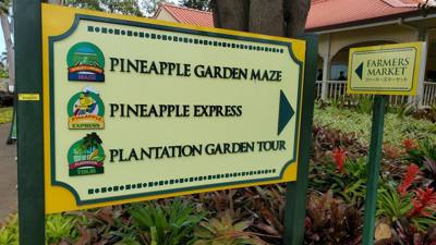 On our Rotten Tomatoes list for our Hawaii trip is the Dole Plantation.  3 things to do and a 45 minutes wait for the tr