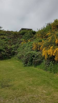 (Part 1) Fort Stevens was or third stop of the day.  Love me some military history.  You can feel what it must have been