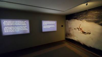 (Part 1) Today started with the Columbia River Maritime Museum.  Very well put together and clear paths on where to go. 