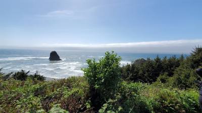 Random pics from the coast of Oregon
