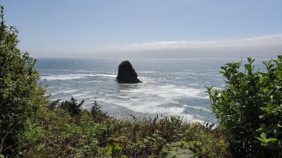 Random pics from the coast of Oregon