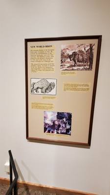 Travel photo
