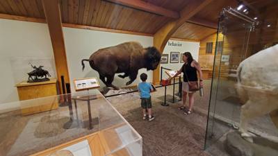 A quick stop at National Buffalo Museum on the way to Bismarck today.  Got my learn on.