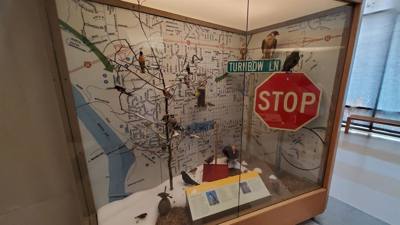 Travel photo