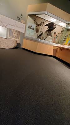 We started the morning off today with the Missouri Yellowstone Confluence Interpretive Center. The water is so shallow h