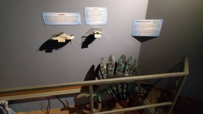 Fossils are always good and Avery is a dinosaur enthusiast.  That said, I had to hold my tongue a little in this place. 