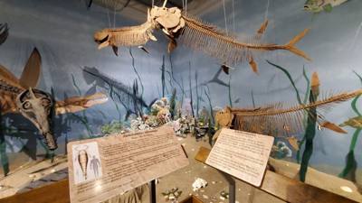 Fossils are always good and Avery is a dinosaur enthusiast.  That said, I had to hold my tongue a little in this place. 