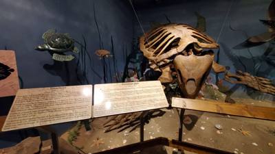 Travel photo