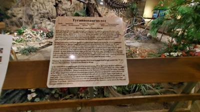 Fossils are always good and Avery is a dinosaur enthusiast.  That said, I had to hold my tongue a little in this place. 