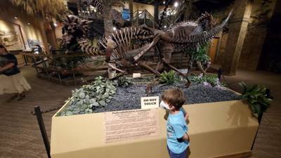 Fossils are always good and Avery is a dinosaur enthusiast.  That said, I had to hold my tongue a little in this place. 