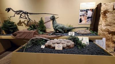 Fossils are always good and Avery is a dinosaur enthusiast.  That said, I had to hold my tongue a little in this place. 