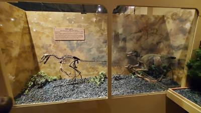 Travel photo