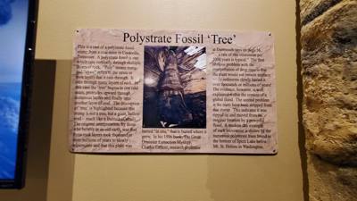 Travel photo