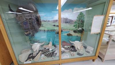 We'll call this one s bonus stop.  It was right next to the dinosaur museum and had a sign starting free admission so wh