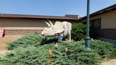 This dinosaur museum had different information than the other one previous in the week. Good stuff. Avery was in heave