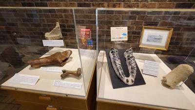 Travel photo