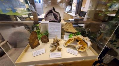 This dinosaur museum had different information than the other one previous in the week. Good stuff. Avery was in heave