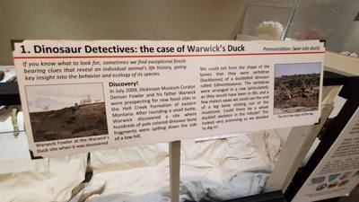 This dinosaur museum had different information than the other one previous in the week. Good stuff. Avery was in heave