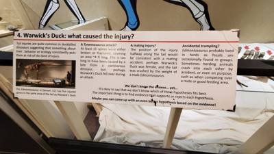 This dinosaur museum had different information than the other one previous in the week. Good stuff. Avery was in heave