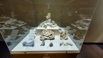 This dinosaur museum had different information than the other one previous in the week. Good stuff. Avery was in heave