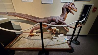 This dinosaur museum had different information than the other one previous in the week. Good stuff. Avery was in heave