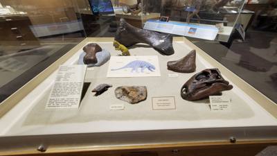 Part 2 of Dickenson Dinosaur Museum.