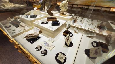 Part 2 of Dickenson Dinosaur Museum.