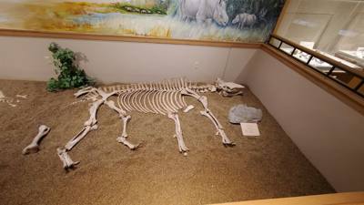 Travel photo