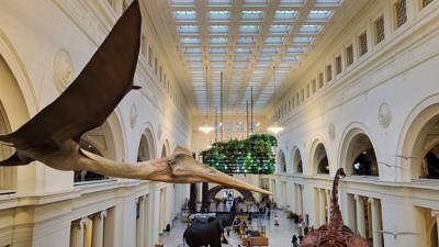 The trip wouldn't be complete without a visit to the Field Museum.