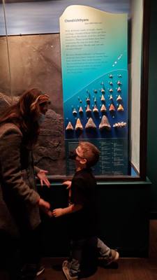 The trip wouldn't be complete without a visit to the Field Museum.