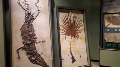 Travel photo