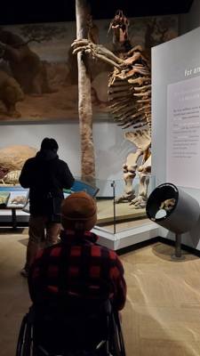 The trip wouldn't be complete without a visit to the Field Museum.
