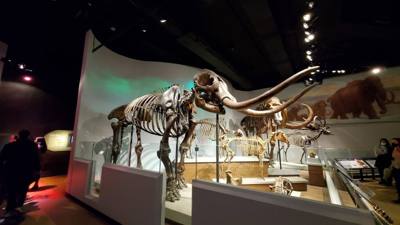 The trip wouldn't be complete without a visit to the Field Museum.