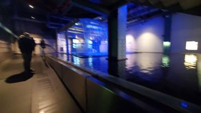 Took a tour of the Guinness Storehouse.  Free beer what?