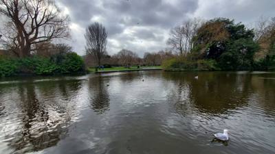 Took a nice little wander through St Stephen's Green to get the juices flowing this morning...