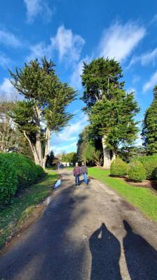 Phoenix Park is the largest gated park in a European capital. So of course…we had to go there!

They had deer, lots of b