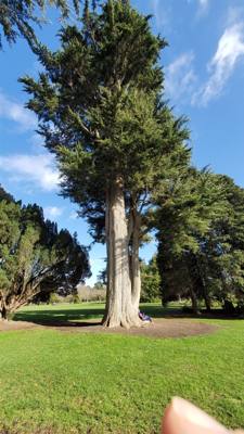 Phoenix Park is the largest gated park in a European capital. So of course…we had to go there!

They had deer, lots of b