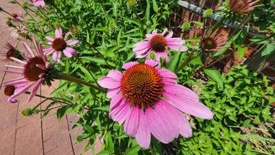 Travel photo