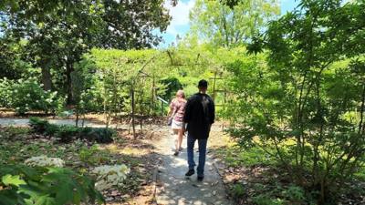 Travel photo