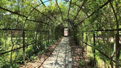 Travel photo