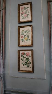 Tryon Palace part 1