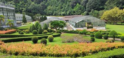 Up the hill from the canopy walk was the botanical garden.  Super beautiful.  Always stunning to see so many different a