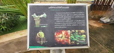 Travel photo