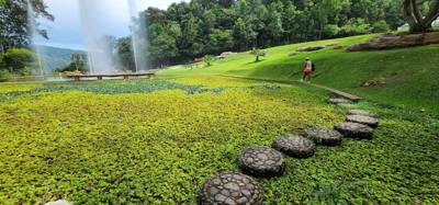 Part 2 if our botanical garden visit.