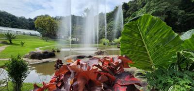 Part 2 if our botanical garden visit.