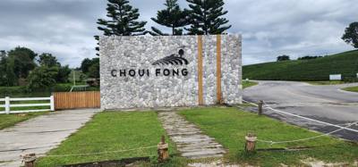 Our tour guide says “there isn't much to buy here".  Everyone walks out with bags and bags of tea.  The Choui Fong Tea P
