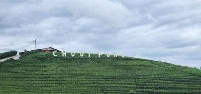Our tour guide says “there isn't much to buy here".  Everyone walks out with bags and bags of tea.  The Choui Fong Tea P