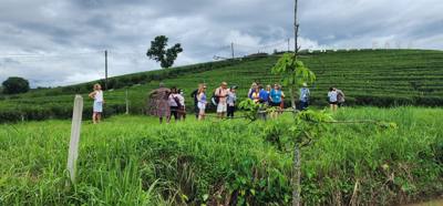 Our tour guide says “there isn't much to buy here".  Everyone walks out with bags and bags of tea.  The Choui Fong Tea P