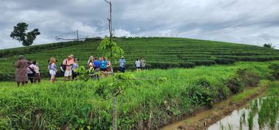 Our tour guide says “there isn't much to buy here".  Everyone walks out with bags and bags of tea.  The Choui Fong Tea P