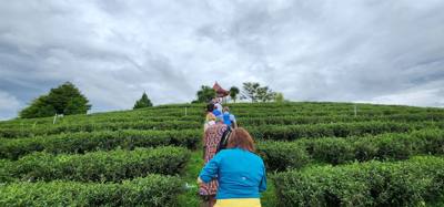 Our tour guide says “there isn't much to buy here".  Everyone walks out with bags and bags of tea.  The Choui Fong Tea P